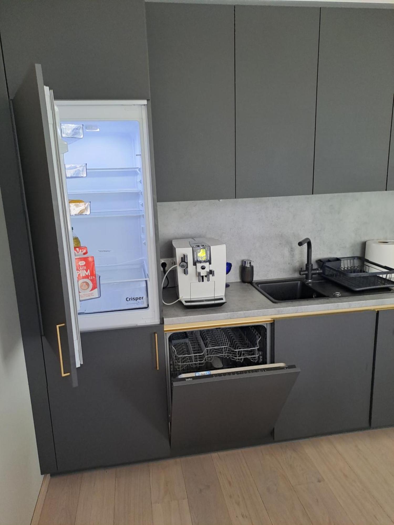 Emajoe Keeltekool Apartment 塔尔图 外观 照片